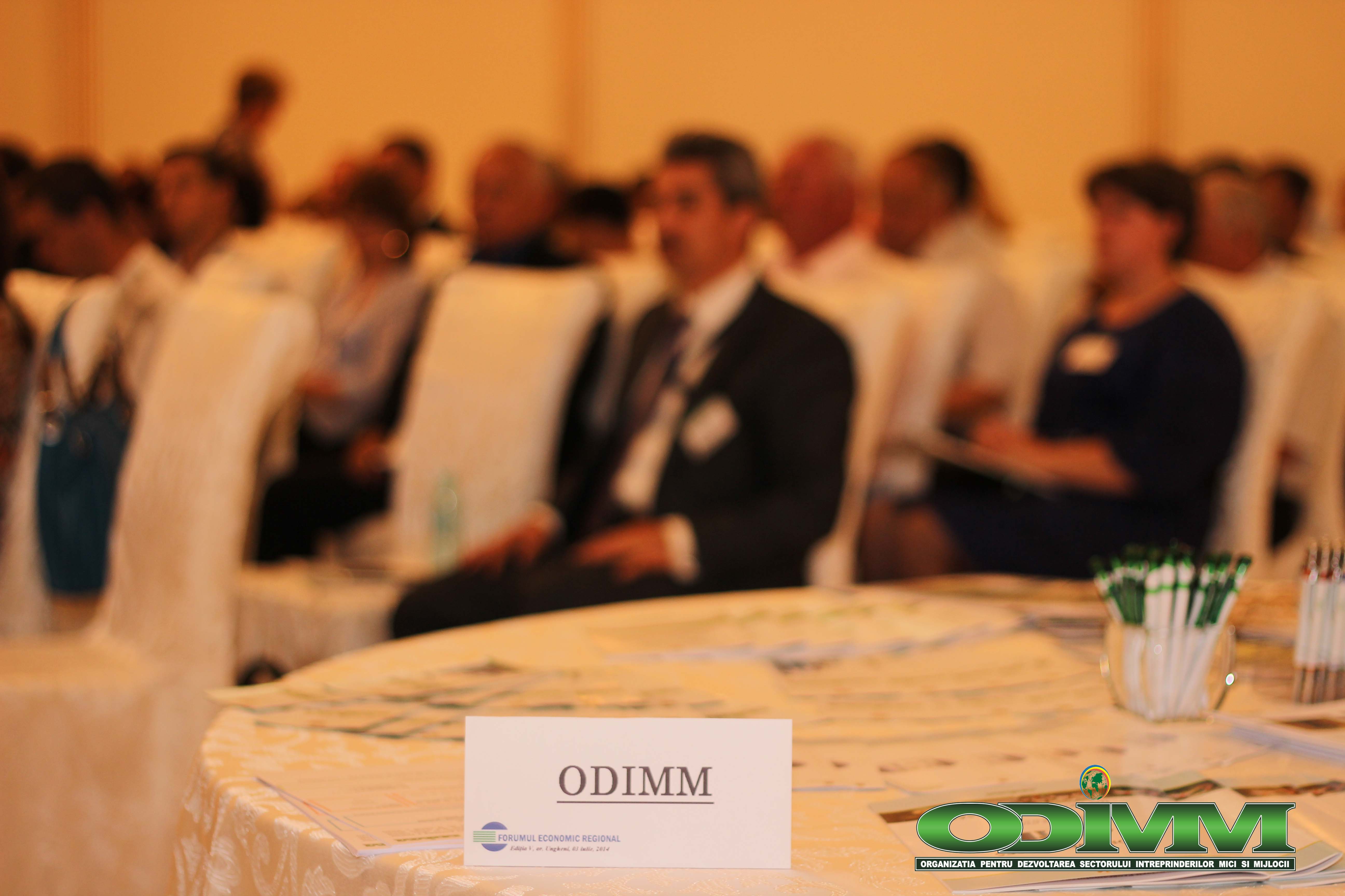 Regional Economic Forum Ungheni ODIMM1