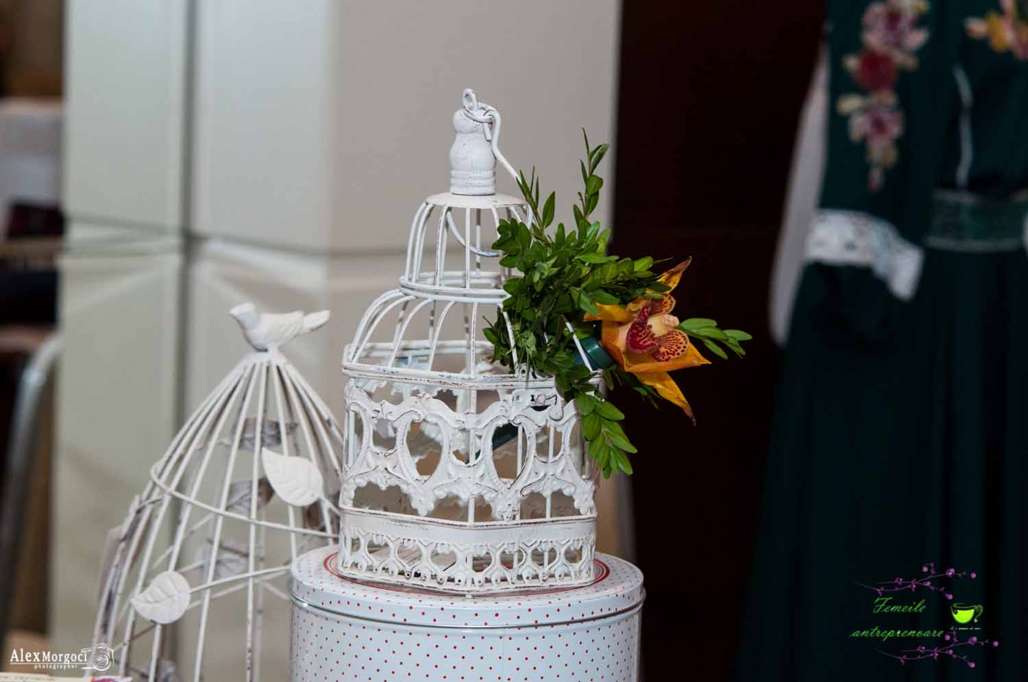 Women Entrepreneurs Platform in produced MD